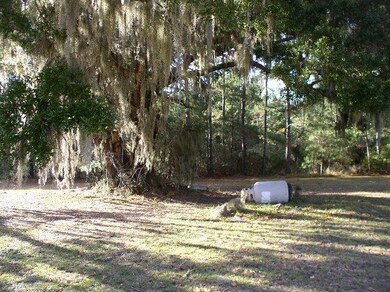 1130 Baptism Rd, Sapelo Island, GA 31327 - photo 5