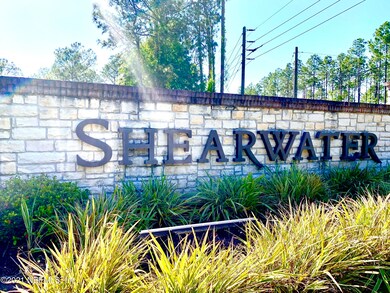 Shearwater