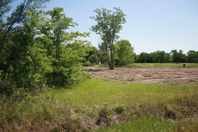 2010 Daily Rd, Rosenberg, TX 77471 - photo 2