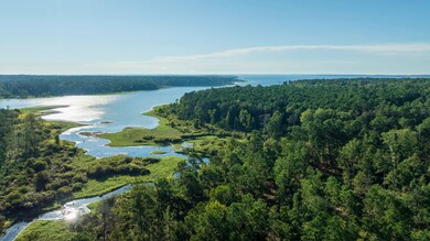 Fm 3173, Westwood, TX 75951 - photo 2