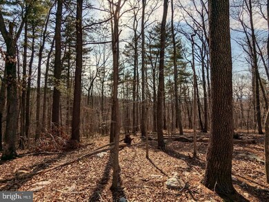 0 E Lee Hwy unit VASH2010608, New Market, VA 22844 - photo 5