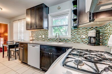 1046 S East Ave, Oak Park, IL 60304 - photo 7