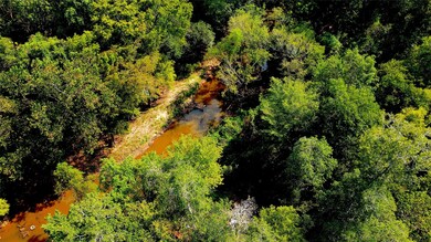 0 County Rd 151 unit 15347869, Boling, TX 77420 - photo 4