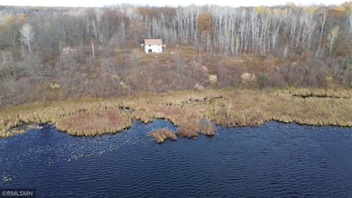 TBD 170th Place, McGregor, MN 55760 - photo 6