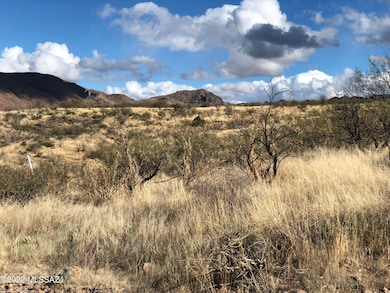140 Canyon Pass Ct unit 96, Rio Rico, AZ 85648 - photo 6