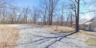 Lot 25 Mercury Ln, Holiday Island, AR 72631 - photo 5