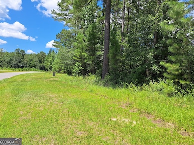 0 Shoreline Dr unit 10570833, Kingsland, GA 31548 - photo 2