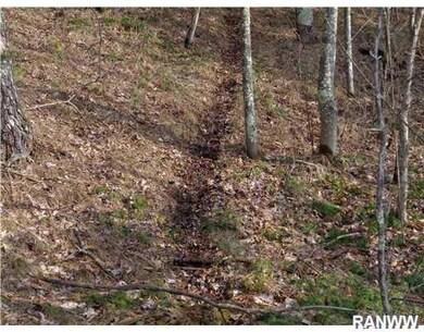 0 Fairgrounds Rd unit 902003, Lincoln Township, WI 54893 - photo 4