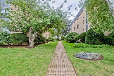 56 Bigelow Ave unit 18, Watertown, MA 02472 - photo 4