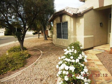 Gorgeous Rose bushes line your walkway