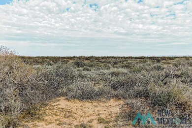 0 Siesta Rd SE unit 20235794, Deming, NM 88030 - photo 4