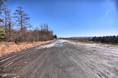 485A0324-HDR(3)