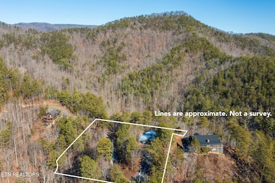 3049 Patty View lot lines