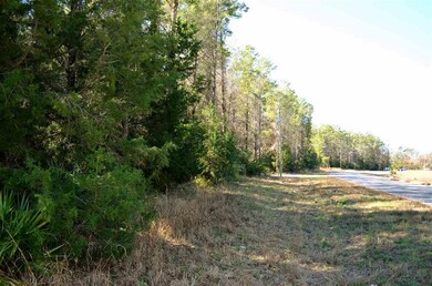 000 Sea Meadows Dr, Keaton Beach, FL 32348 - photo 2