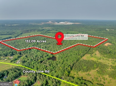 0 County Line Rd unit 10539097, Jenkinsburg, GA 30234 - photo 2
