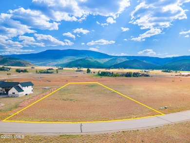 113 Bucktail, Gypsum, CO 81637 - photo 5