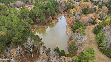 7 Wall Hill Rd Lot, Byhalia, MS 38611 - photo 2