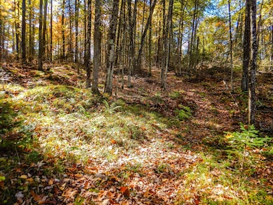 N16656 Dexter Rd, Beecher, WI 54156 - photo 4