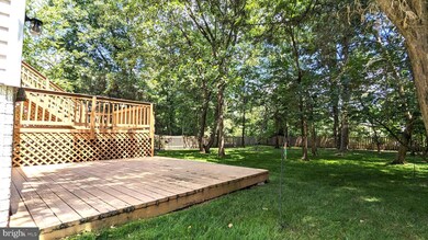 26251 Rachel Hill Dr, Chantilly, VA 20152 - photo 4