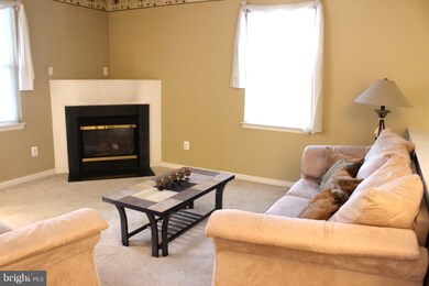 5002 Willow Branch Way, Owings Mills, MD 21117 - photo 5