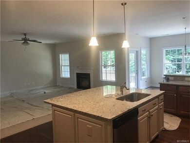 9941 Puddle Duck Ln, Mechanicsville, VA 23116 - photo 5