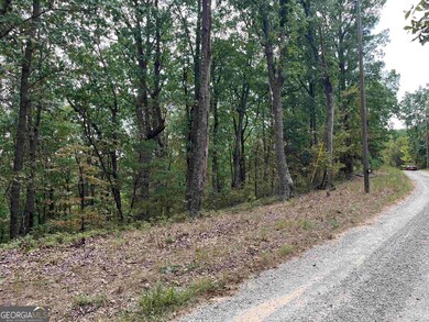 32 Antler Ct unit 2, Ranger, GA 30734 - photo 2