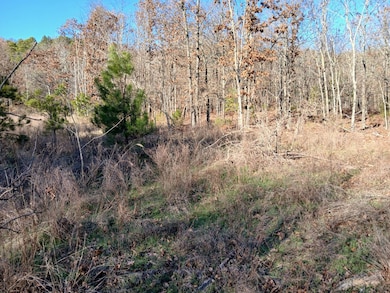 440499 E 1627 Rd, Tuskahoma, OK 74574 - photo 6