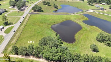 20118 Mississippi 603, Kiln, MS 39556 - photo 5