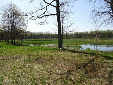 12372 N Bingham Ave, Bitely, MI 49309 - photo 6