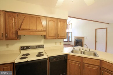 16236 Mountain Track Rd, Orange, VA 22960 - photo 6