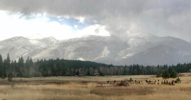 elk