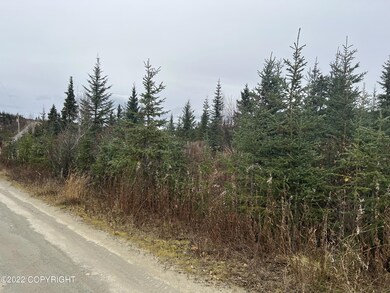 32814 Stacey Ln, Anchor Point, AK 99556 - photo 3