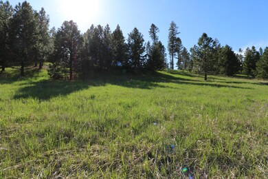 11 Jewel of Echo Trail, Bigfork, MT 59911 - photo 7