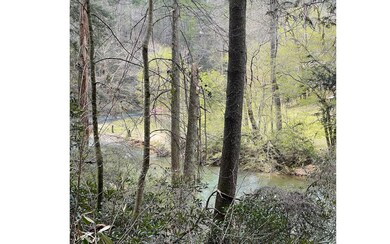 Additional View