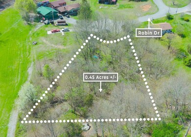 0 Robin Dr, New Tazewell, TN 37825 - photo 5