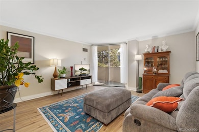 601 W 11th Ave unit 409, Denver, CO 80204 - photo 4