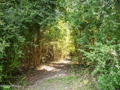 22-web-or-mls-P7160130