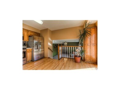 Kitchen pantry holds up this plant...and looks ove