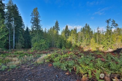 2761 Silent Cedars Ln, Langley, WA 98260 - photo 5