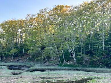 IMG_3013