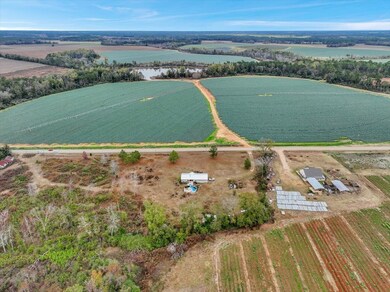 486 Chapman Rd, Moultrie, GA 31788 - photo 6