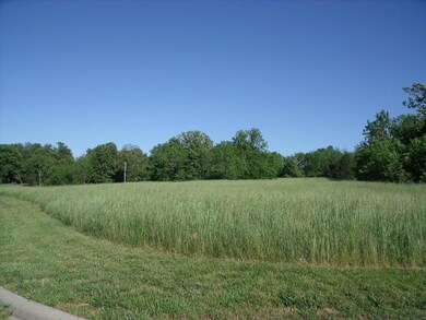 1500 Blk N State Hwy 160 SE, Nixa, MO 65714 - photo 6