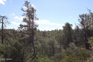 1970 S Pleasant View Dr, Show Low, AZ 85901 - photo 7