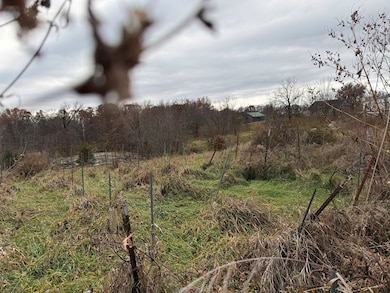 18074 Oriole Trail, Novinger, MO 63559 - photo 6