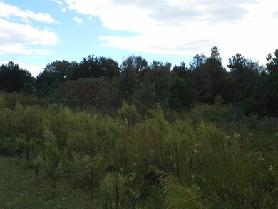 0 Maxeys Rd unit 45866, Union Point, GA 30669 - photo 3