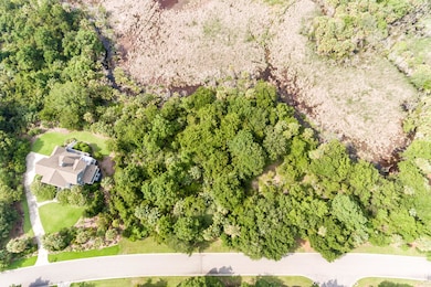 2612 Jenkins Point Rd Seabrook-006-2-DJI
