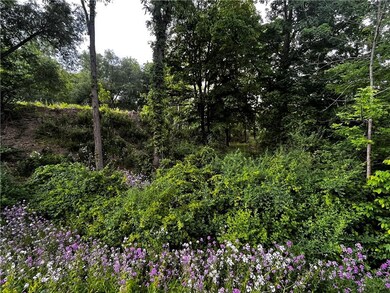 Lower part of lot.