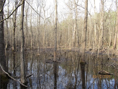 0 Obie Smith Rd unit 2491301, Atlanta, LA 71404 - photo 4