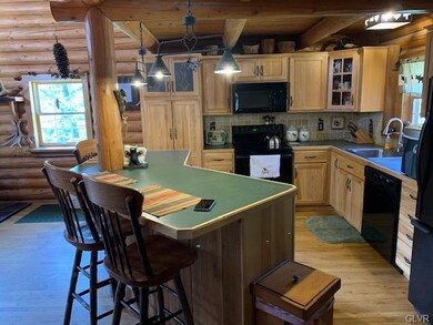 2515 Lower Smith Gap Rd, Kunkletown, PA 18058 - photo 5