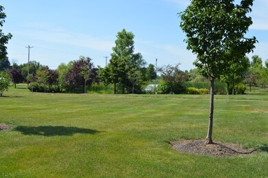 Green Space park area